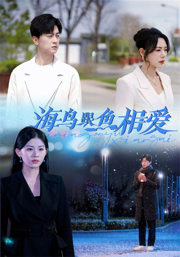 短剧《海鸟跟鱼相爱》在线免费网盘下载