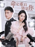 短剧《命定重启皆是你》全集在线下载